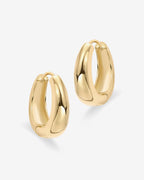 Alex Hoops