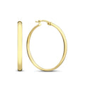 Noa Gold Earrings